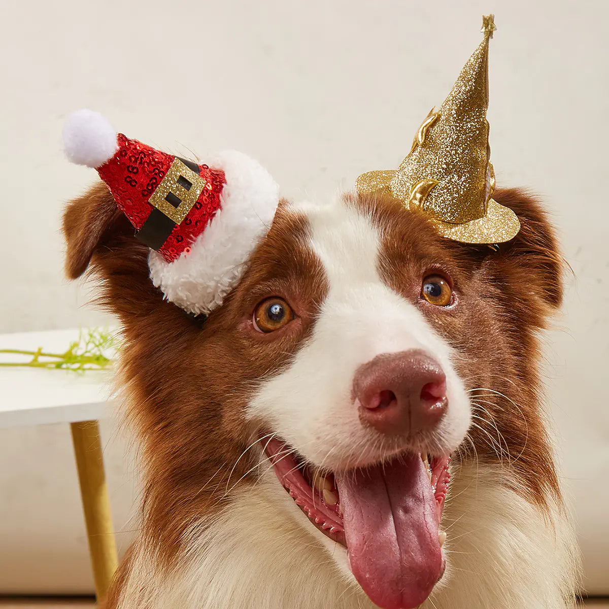 Holiday Hat Dog Headdress