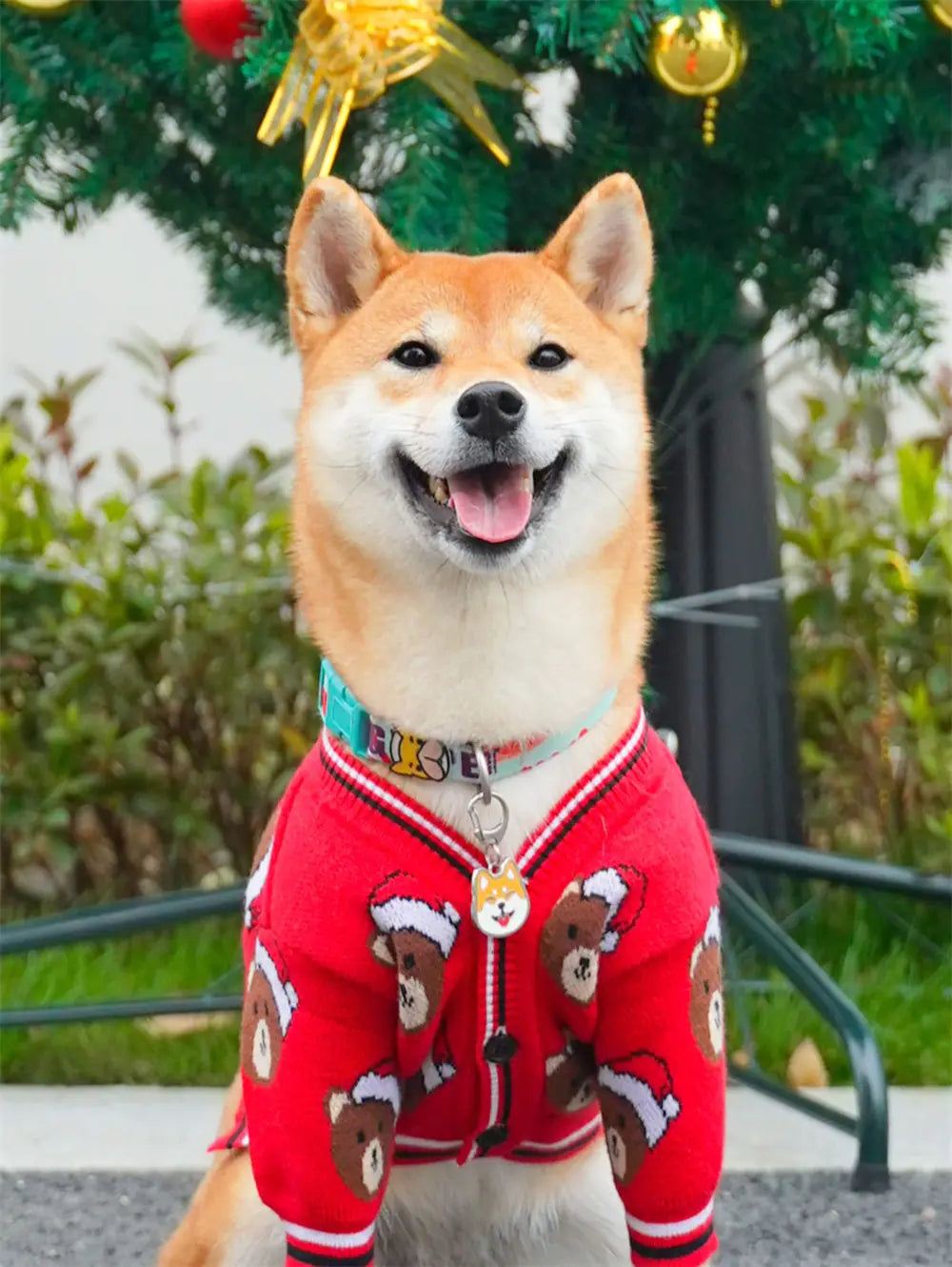 Festive Dog Sweater for Holidays